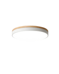 L'Horizon Naturel – Nowoczesna lampa sufitowa z drewnianym akcentem